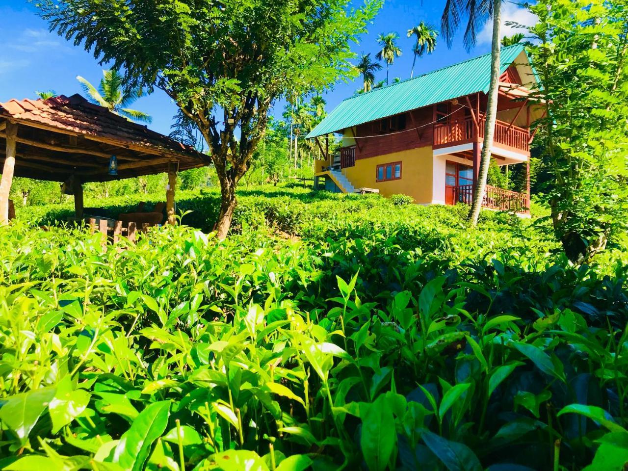 Rainforest Mount Lodge Deniyaya Exterior photo